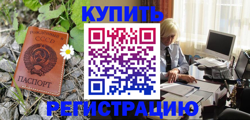 временная регистрация поиск в Мончегорске