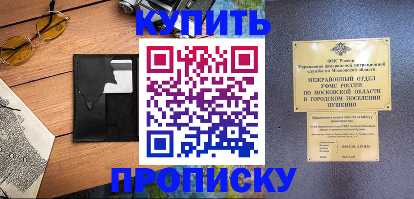 временная регистрация в Мончегорске