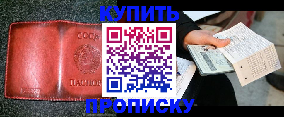 временная регистрация адрес в Мончегорске