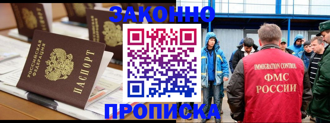 прописка поиск в Мончегорске